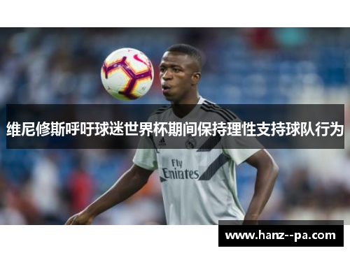 维尼修斯呼吁球迷世界杯期间保持理性支持球队行为