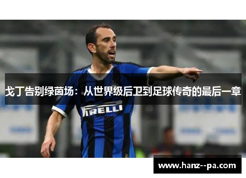 戈丁告别绿茵场：从世界级后卫到足球传奇的最后一章