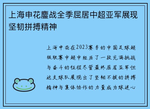 上海申花鏖战全季屈居中超亚军展现坚韧拼搏精神