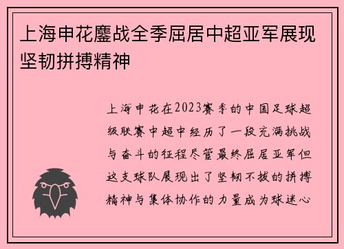 上海申花鏖战全季屈居中超亚军展现坚韧拼搏精神